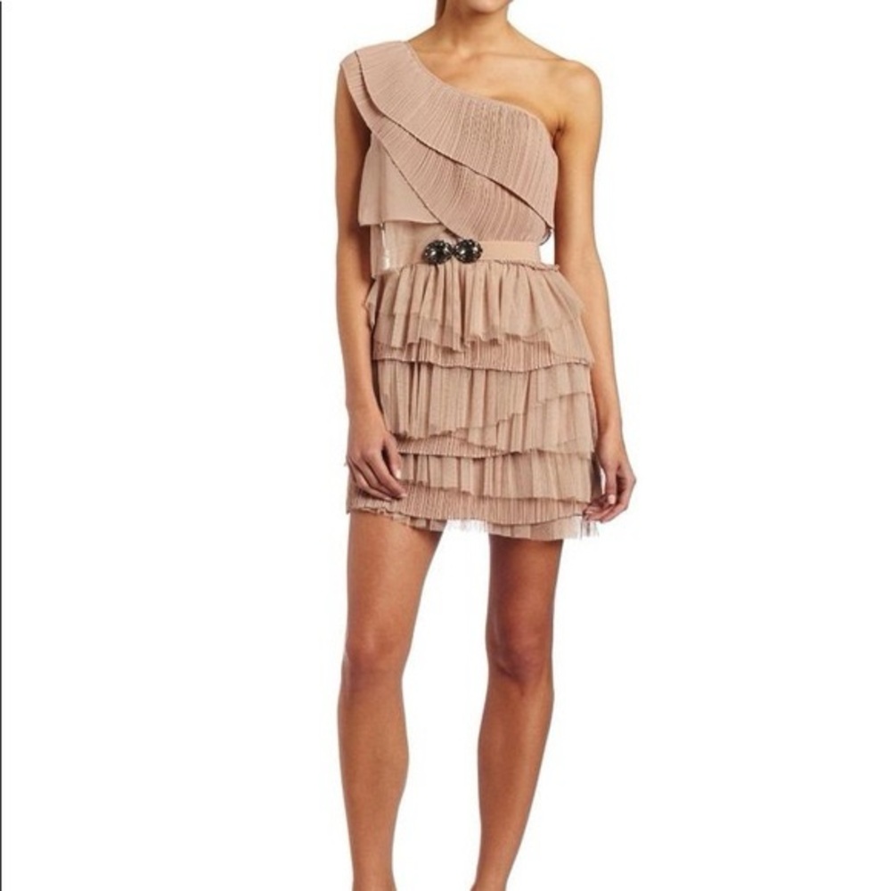 BCBG One-Shoulder Ruffle Dress